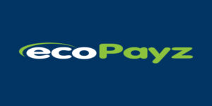 EcoPayz платежная система